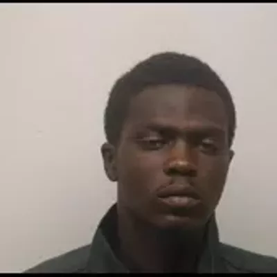 Image: Homeowners foil burglary near White Bluff; suspect in custody