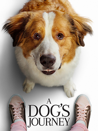 Image: Film: A Dog's Journey