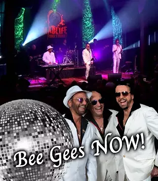 Image: Bee Gees Now!