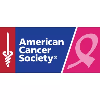 Image: Making Strides Against Breast Cancer Walk
