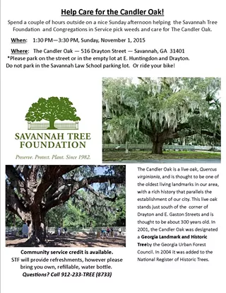Image: Candler Oak Weed Pull