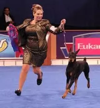 Image: AKC Dog Show