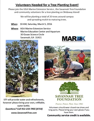 Image: Tree Planting Volunteer Opportunity