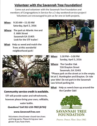 Image: Candler Oak Weeding