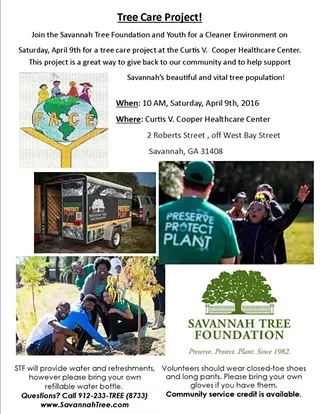Image: Tree Care Project