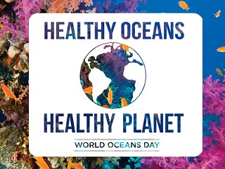 World Oceans Day Tybee Island Beach Clean Up
