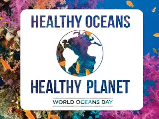 Image: World Oceans Day Tybee Island Beach Clean Up