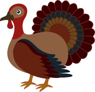 Image: United Way Turkey Trot