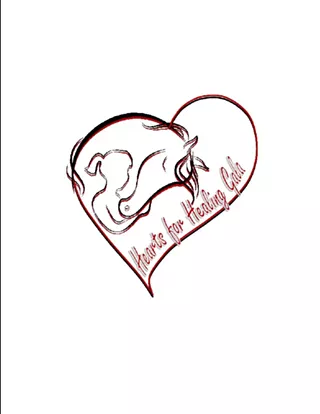 Image: Hearts for Healing Gala