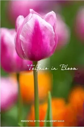 Image: Telfair in Bloom Floral Workshop