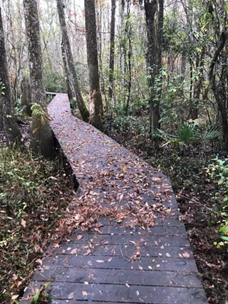 Image: Camp Ogeechee