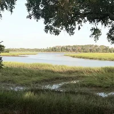 Image: UGA to get 15 acres at Wormsloe