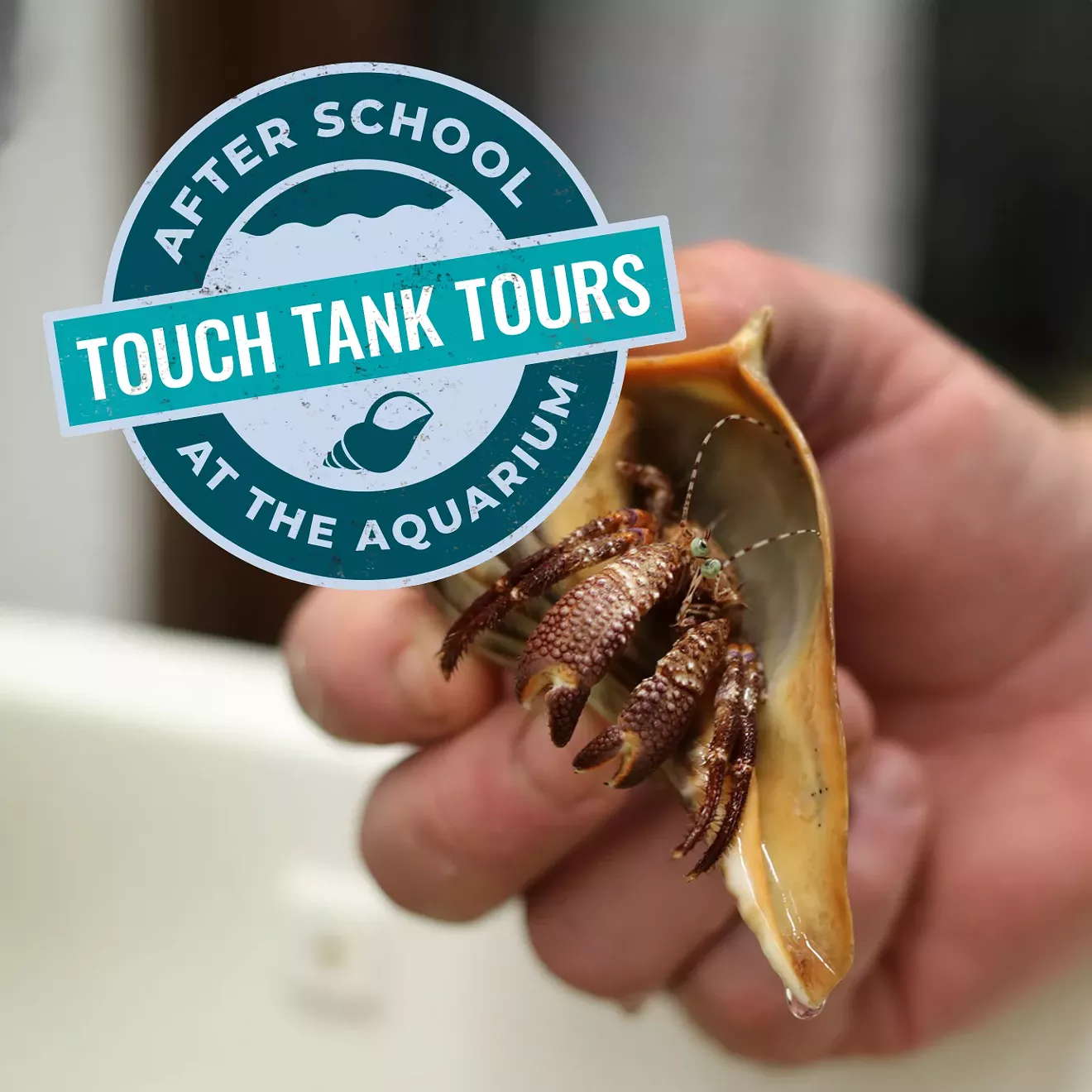 touchtanks.webp