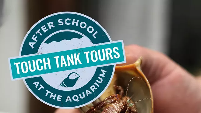 Image: After School at the Aquarium: Touch Tank Tour