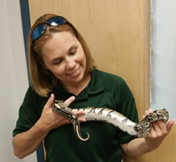 Animal Control recovers exotic species