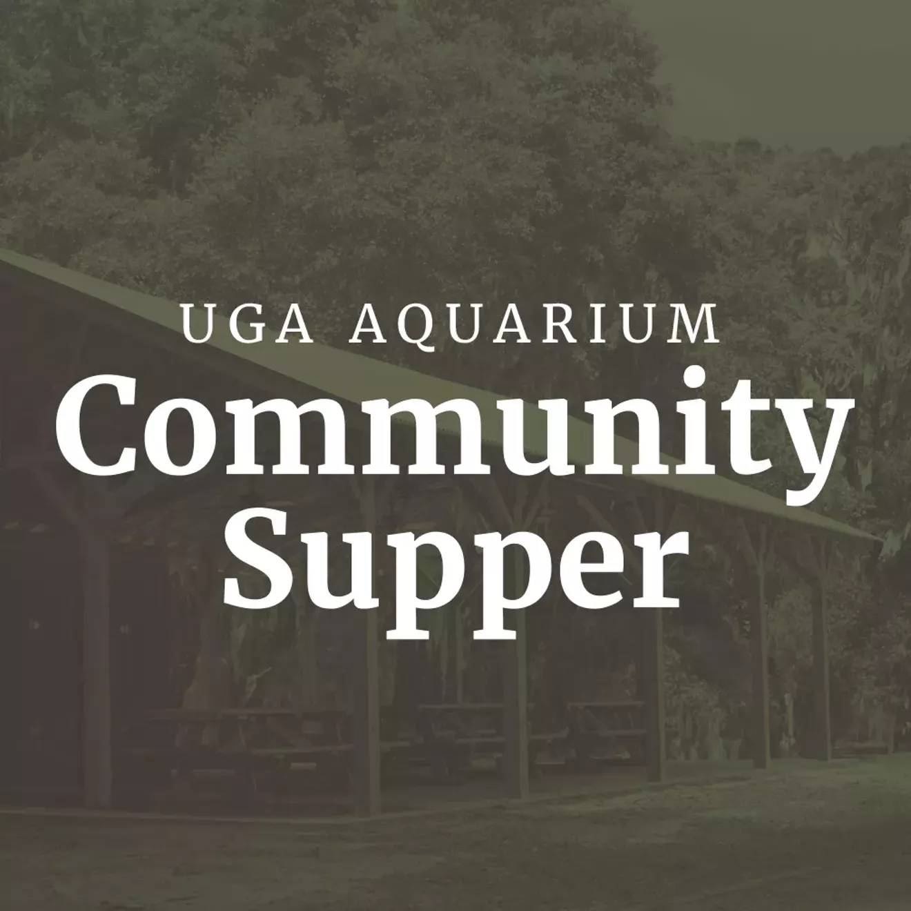 community-supper-23-sq.webp