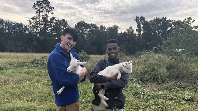 Image: Back to the farm