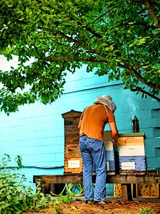 Image: Bee Garden Tours
