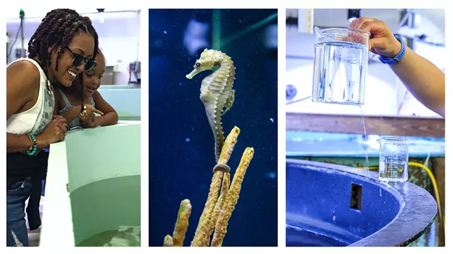 Image: Behind the Scenes Aquarium Tours