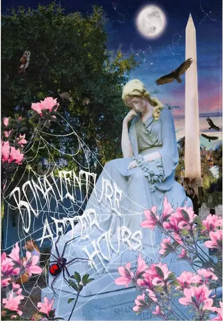 Image: Bonaventure After Dark: Gatekeeper Secrets