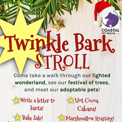 Twinkle Bark Stroll Flyer