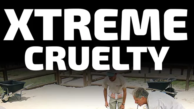 Image: Community Education Effort and Peaceful Protest to Promote Animal Free Circuses