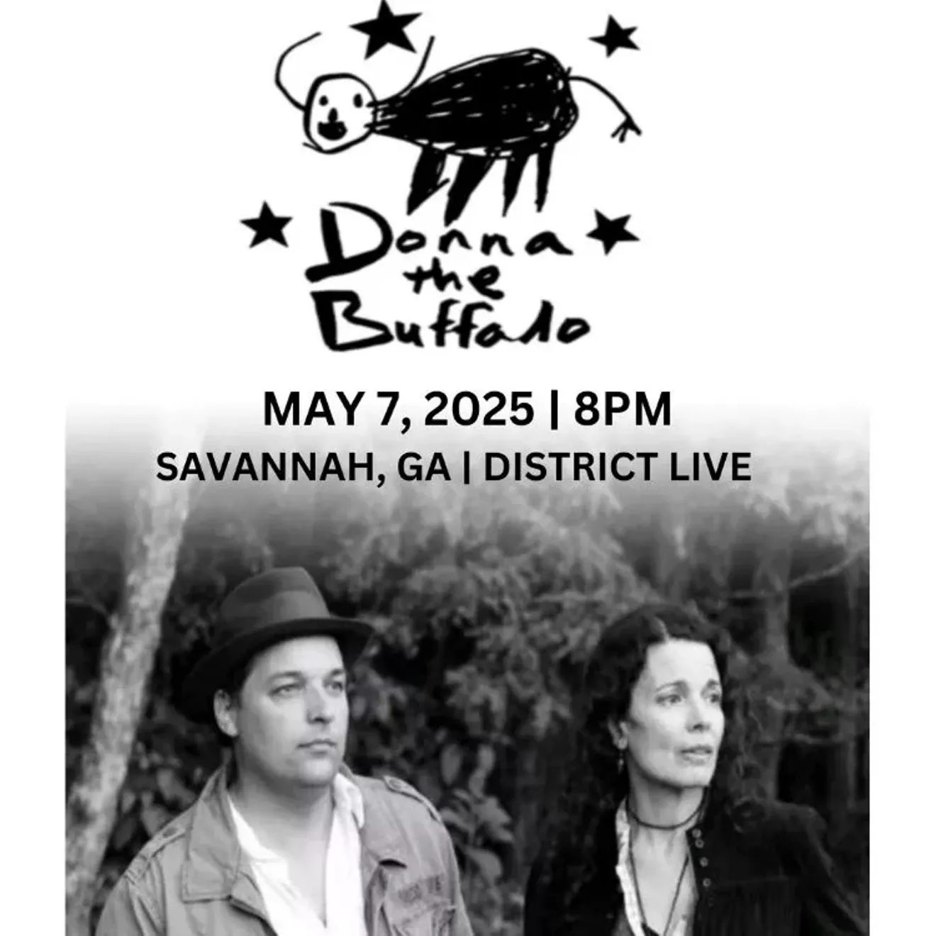 donna_the_buffalo.webp