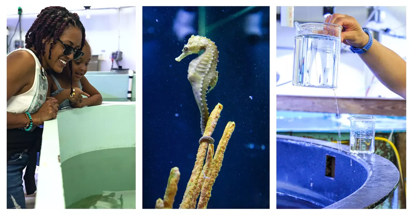 bts-aquarium-tour.webp