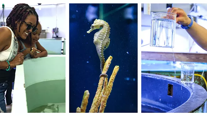 Image: Early Morning Behind the Scenes Aquarium Tour