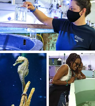 Image: Early Morning Behind the Scenes Aquarium Tour