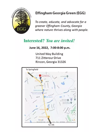 Image: Effingham Georgia Green 1st Public Meeting