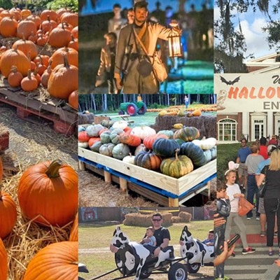 FALL FUN GUIDE: Pumpkin patches, corn mazes, haunted houses, oh my!