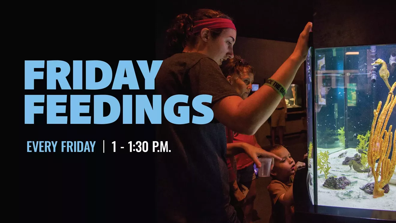 friday-feedings-updated.webp