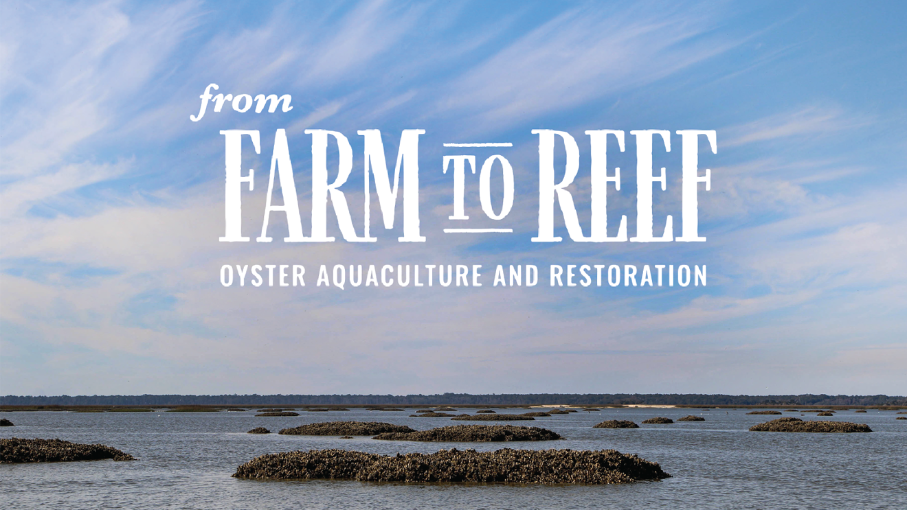 from-farm-to-reef_program-1536x864.png