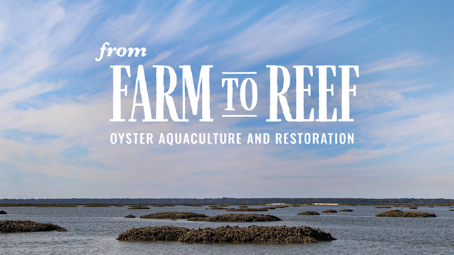 Image: From Farm to Reef: Oyster Aquaculture and Restoration