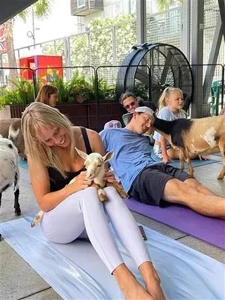 Image: Goat Yoga Savannah