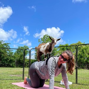 Goat Yoga Savannah