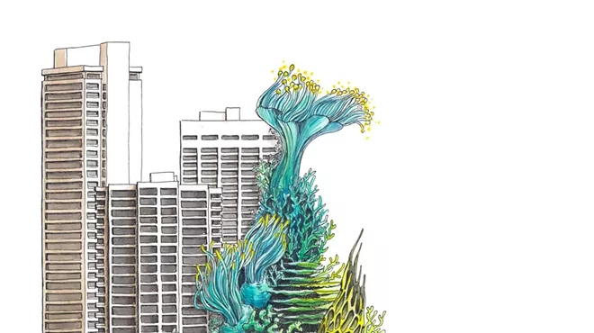 Image: Intricate Oceans: Coral in Contemporary Art