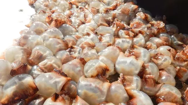 Image: Let's go jellyfishin'