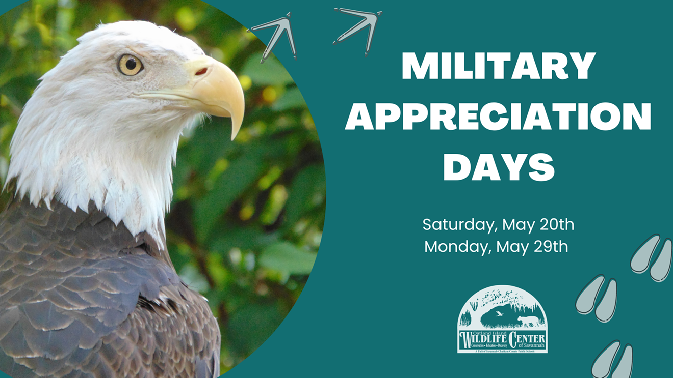 military-appreciation-days.png