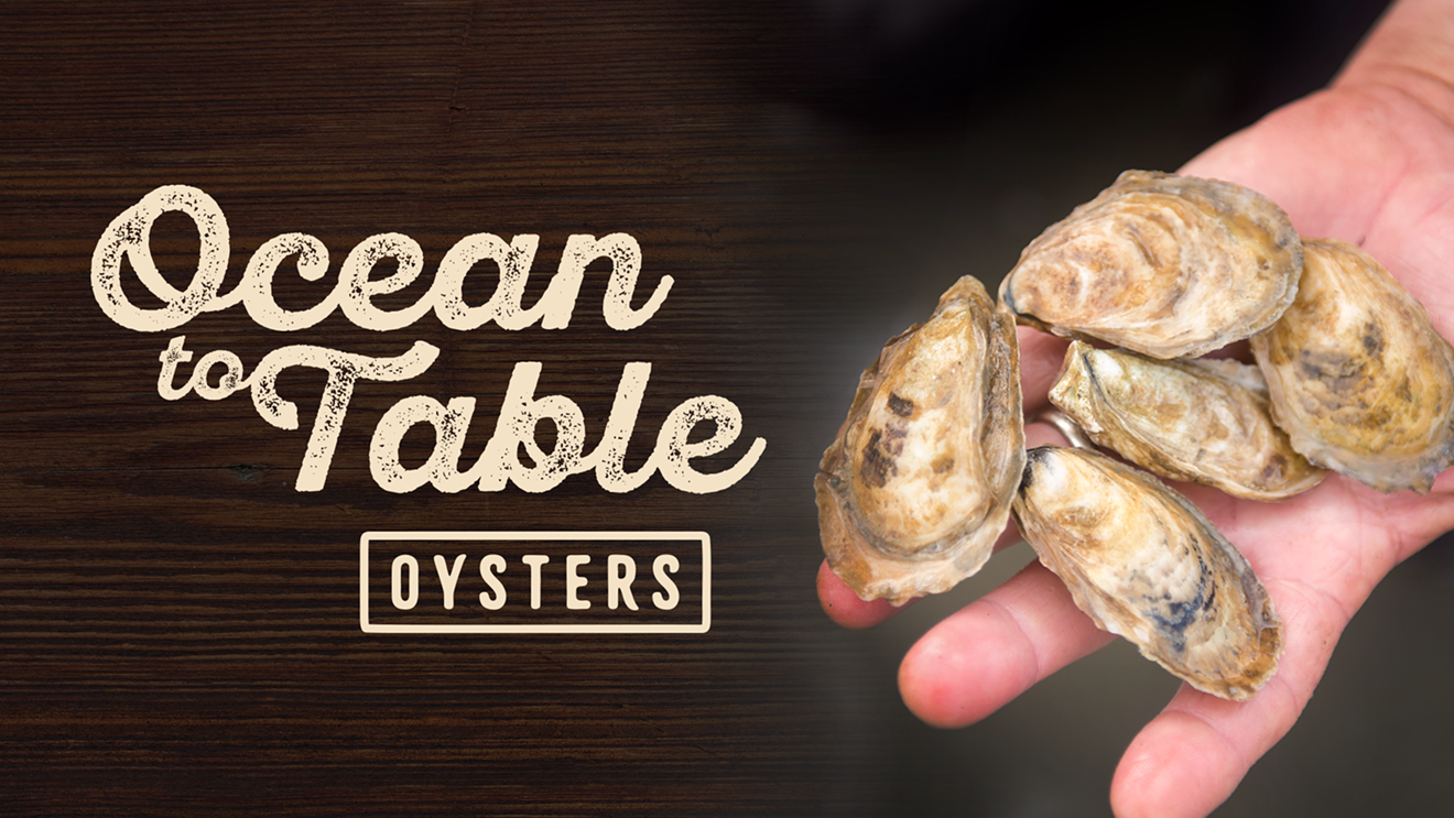 ocean-to-table-oysters.png