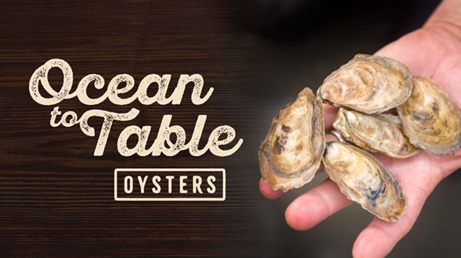 Image: Ocean to Table: Oysters