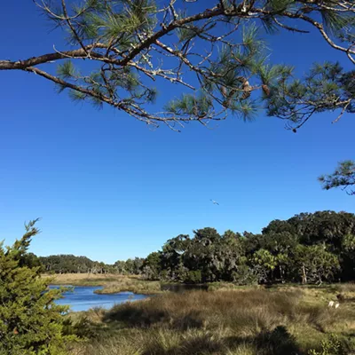 Image: Ossabaw Island to host &lsquo;wild&rsquo; New Year&rsquo;s Eve celebration