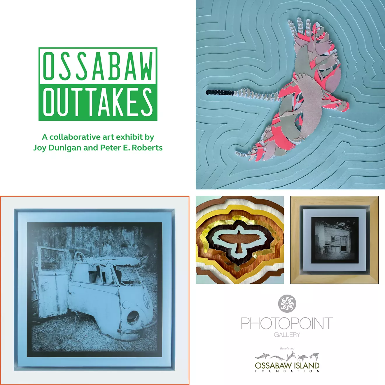Ossabaw Outtakes: October 1, 2024 - March 1, 2025