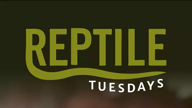 Image: Reptile Tuesdays