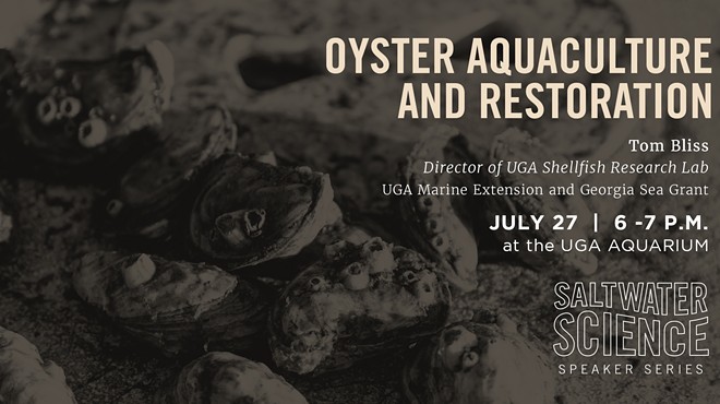 Saltwater Science Speaker Series: Oyster Aquaculture and Restoration