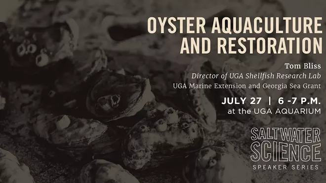 Image: Saltwater Science Speaker Series: Oyster Aquaculture and Restoration