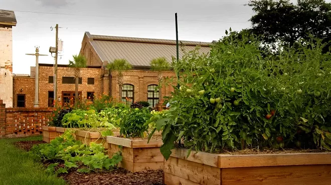 Image: Saturday gardening sessions give empowerment, solace &ndash; and spring produce