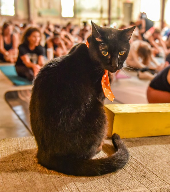 Savannah Power Yoga & Service Brewing Company Host Beer and Yoga in Support of Edel Caregiver Institute