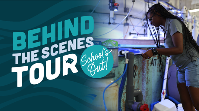 Image: School&rsquo;s Out: Behind-the-Scenes Aquarium Tour